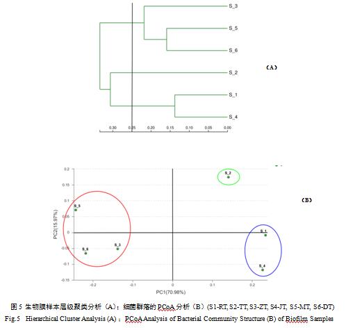 聚類分析