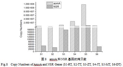 熒光定量分析